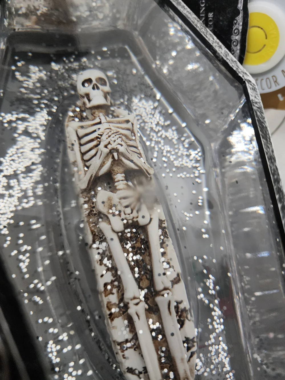 Silver Gothic Raven Glass Lightup Coffin Skeleton Décor